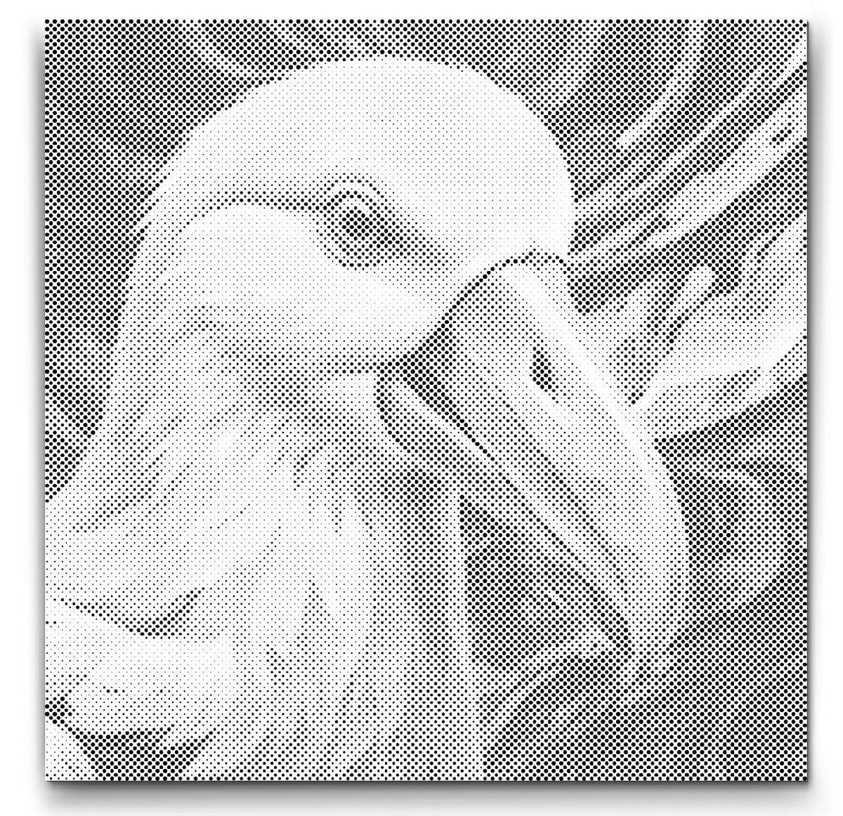 Albatros | Stipjes Schilderen Pakket als afgewerkt stippelschilderij kunstwerk
