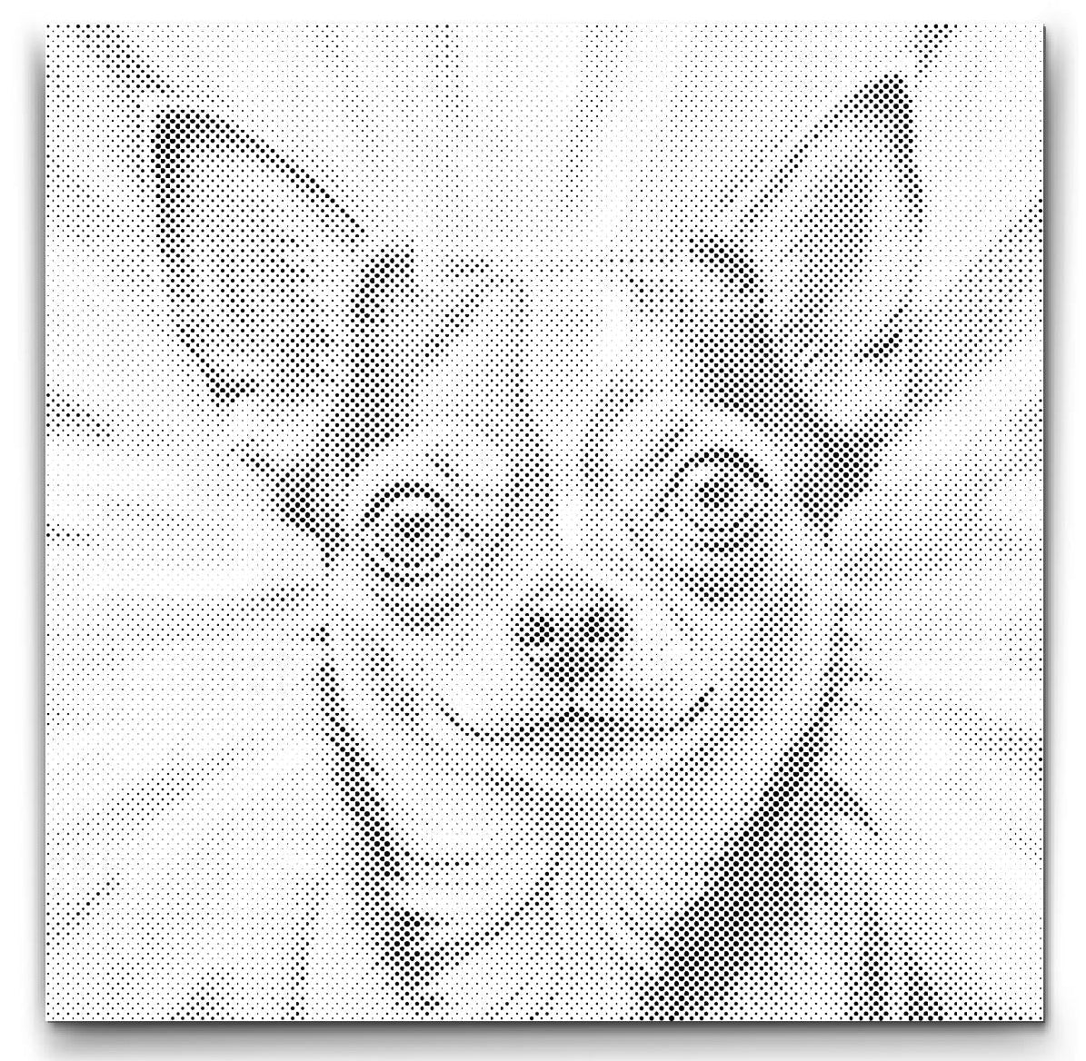 Chihuahua | Stip-schilderijpakket als afgewerkt stippelschilderij kunstwerk