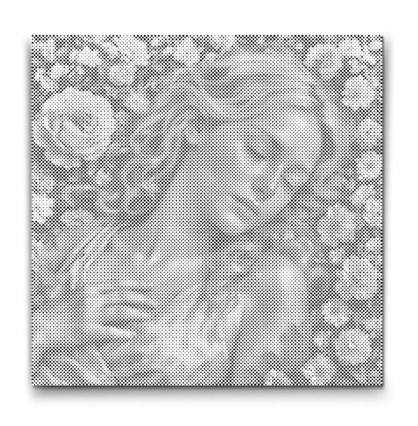 Punktmalerei "Schlafende Schönheit" – Dot Painting Wandbild | Punkt-Malerei.de