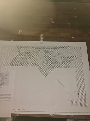 Klantbeoordeling: De dot painting afbeelding van de kat wordt erg mooi en de klant is tevreden.