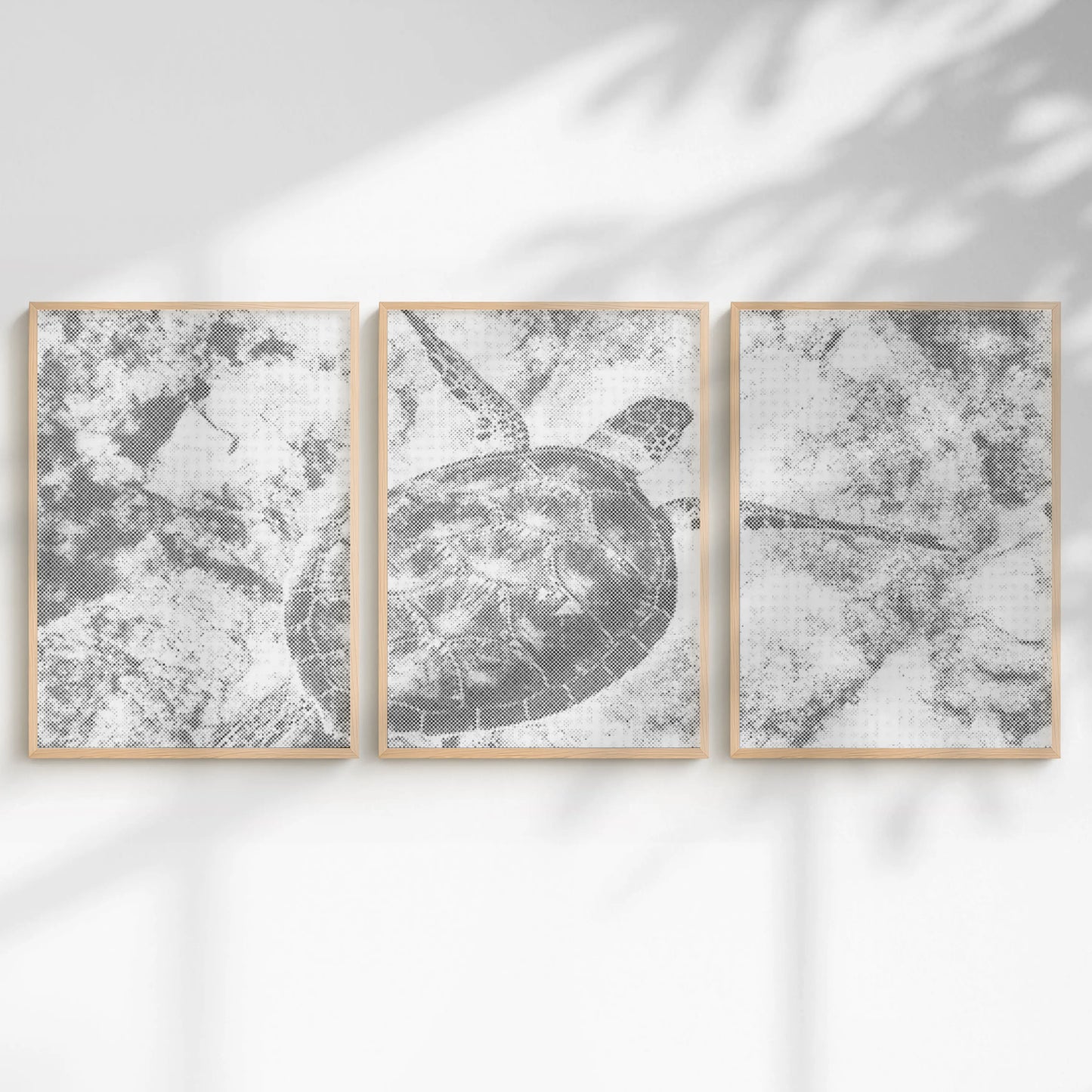 Three framed artworks of a turtle design on a white wall with soft shadows.
