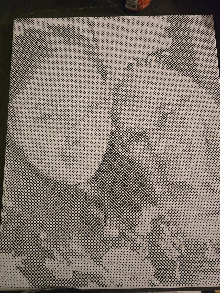Klantbeoordeling: Het dot painting project was echt heel leuk om te doen.