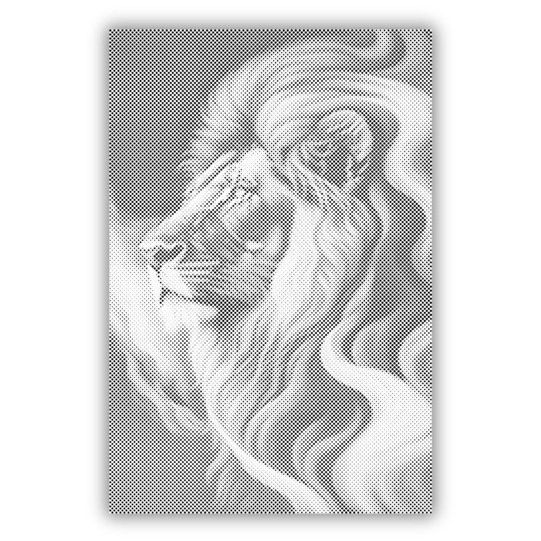 Majestueuze Leeuw | Stippelschilderij Kit als afgewerkt stippelschilderij kunstwerk