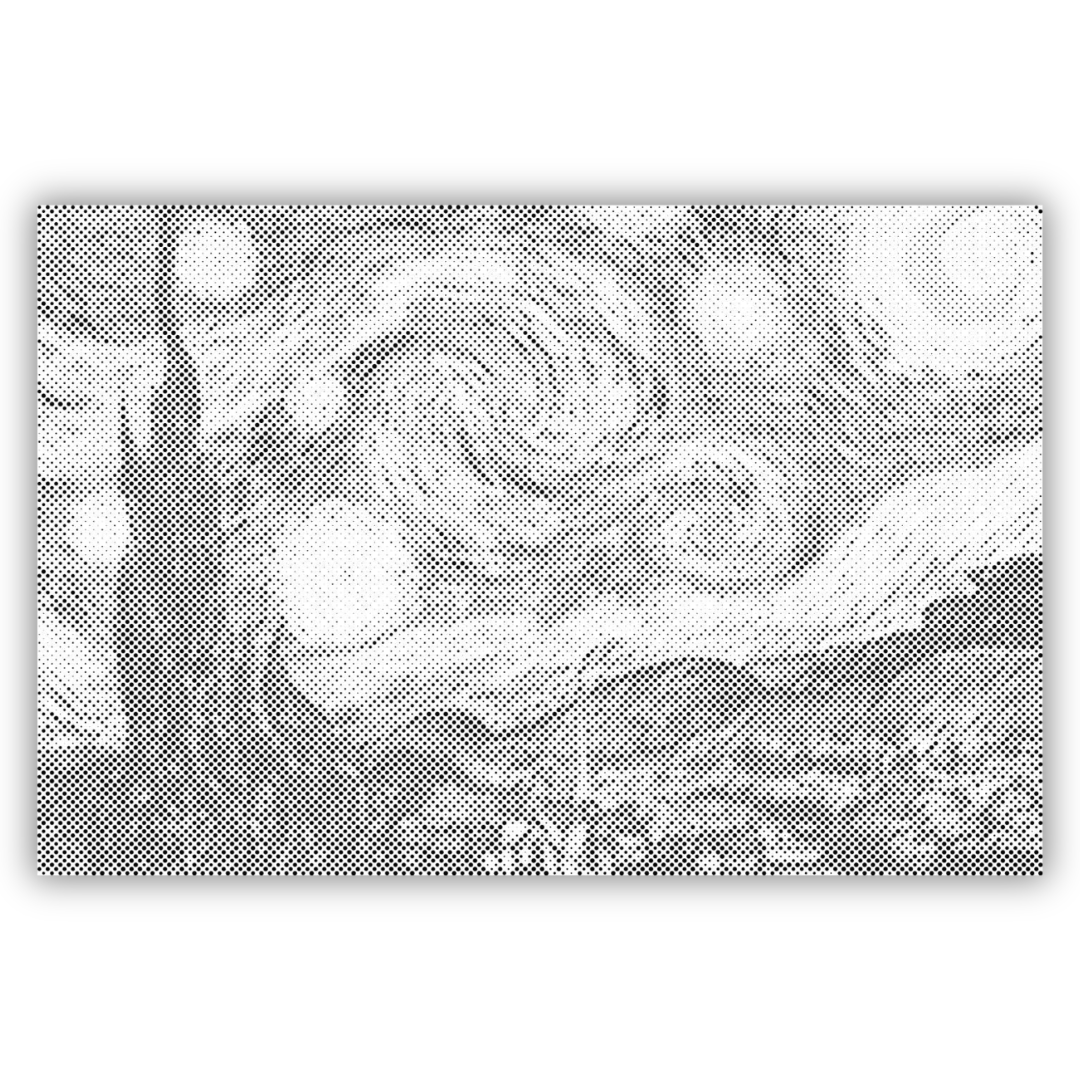 De Sterrennacht van Van Gogh | Stippen Schilderen Kit als afgewerkt stippelschilderij kunstwerk